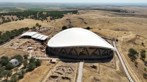 Şanlıurfa'daki Göbeklitepe'de ağaç dikme iddialarına yalanlama