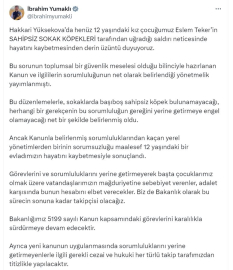 Bakan Yumaklı'dan Hakkari'deki köpek saldırısına ilişkin açıklama